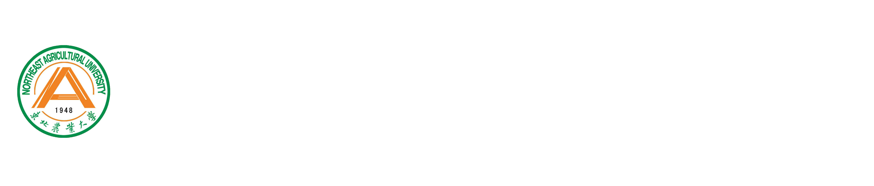 FIFA2026官方网站